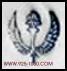 torch, wings